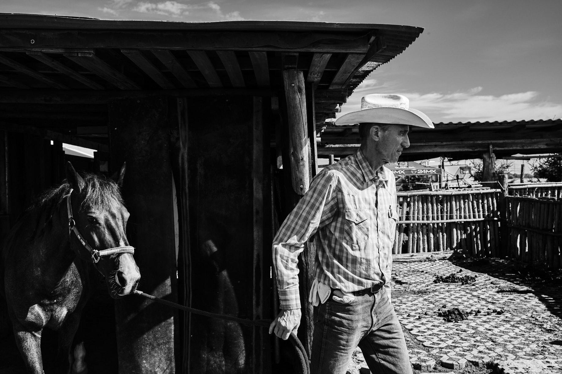 Mann mit Cowboy-Hut f&uuml;hrt ein Pferd. - Foto: Thomas Steinberg