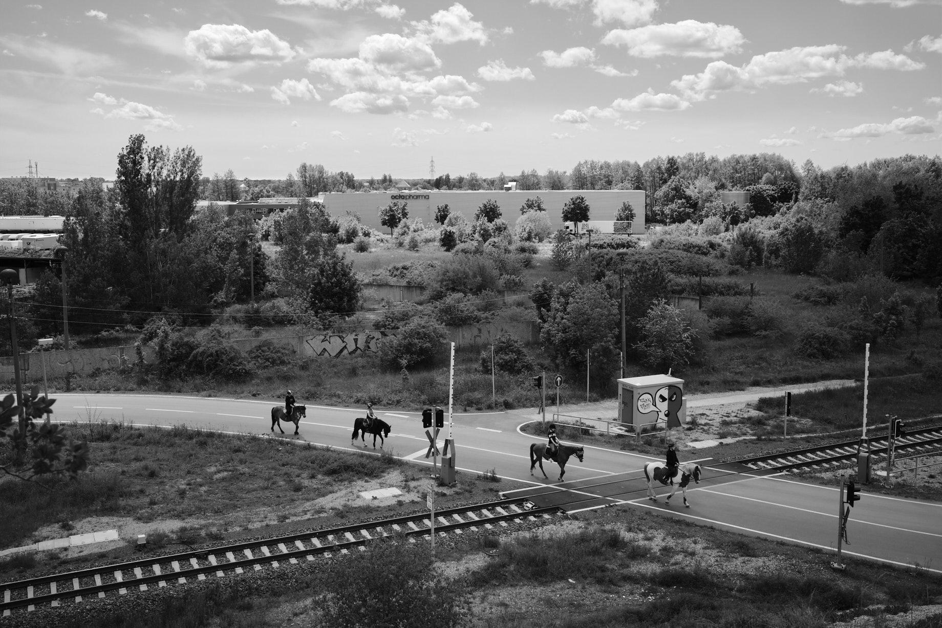 Vier Reiter überqueren einen Bahnübergang. - Foto: Thomas Steinberg