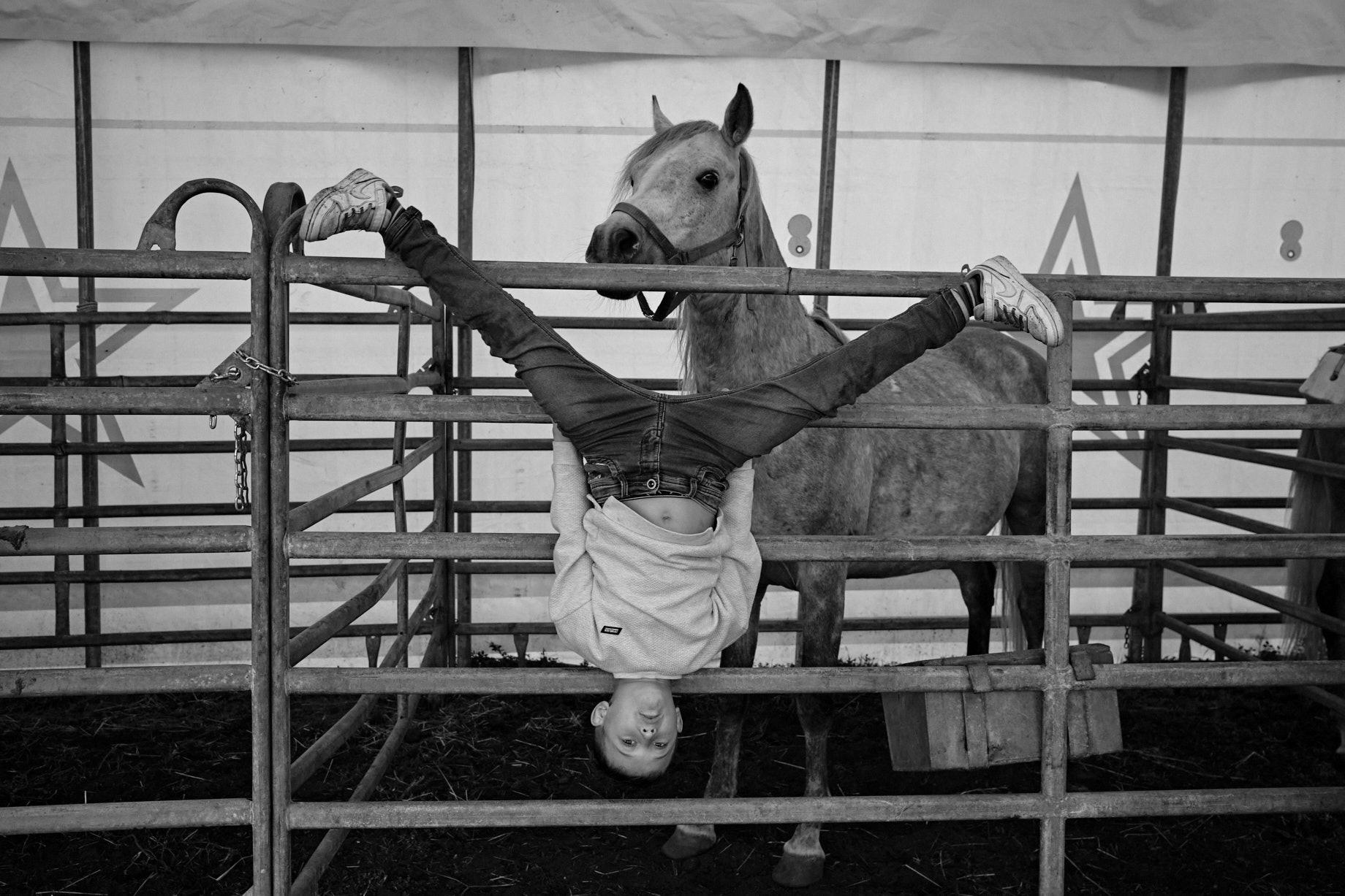 Ein Zirkuskind turnt an der Pferdebox - Foto: Thomas Steinberg